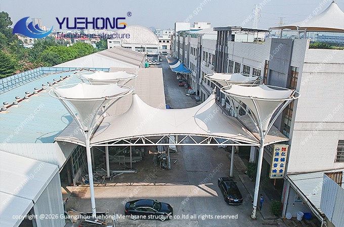 Within the YiJin company