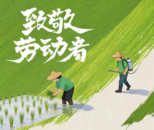 五一，致敬平凡 致敬不凡